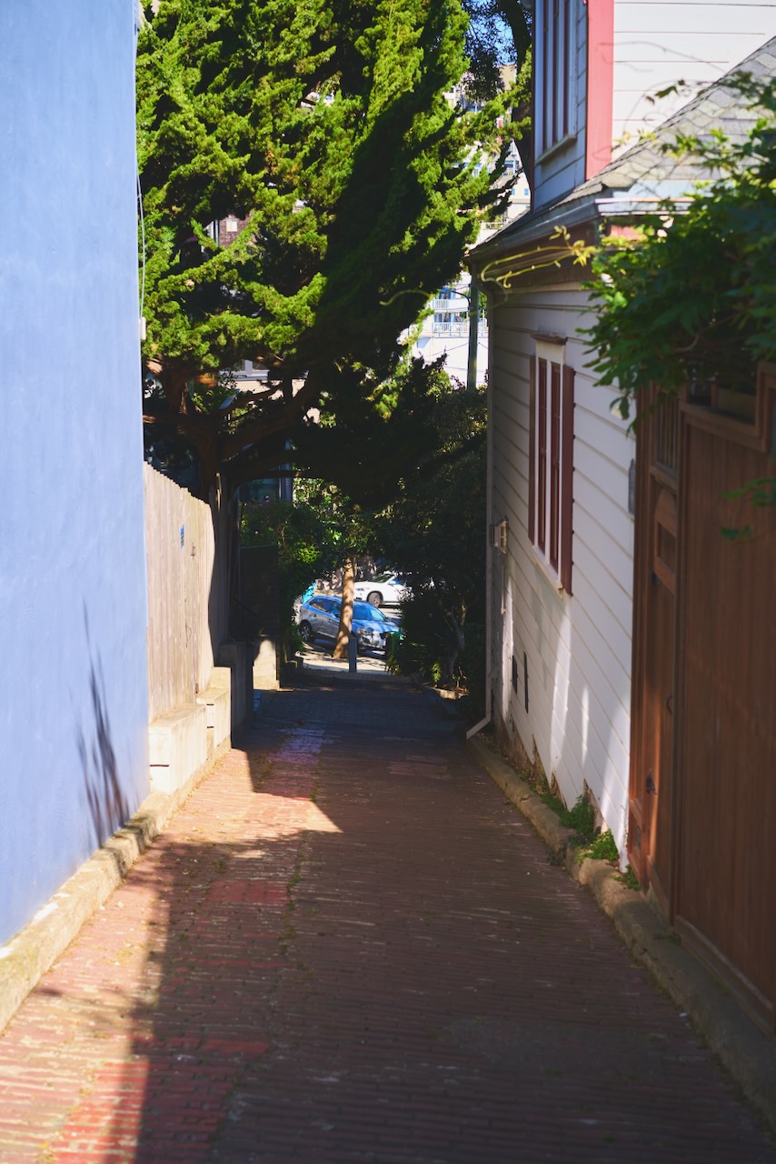 sanfran20