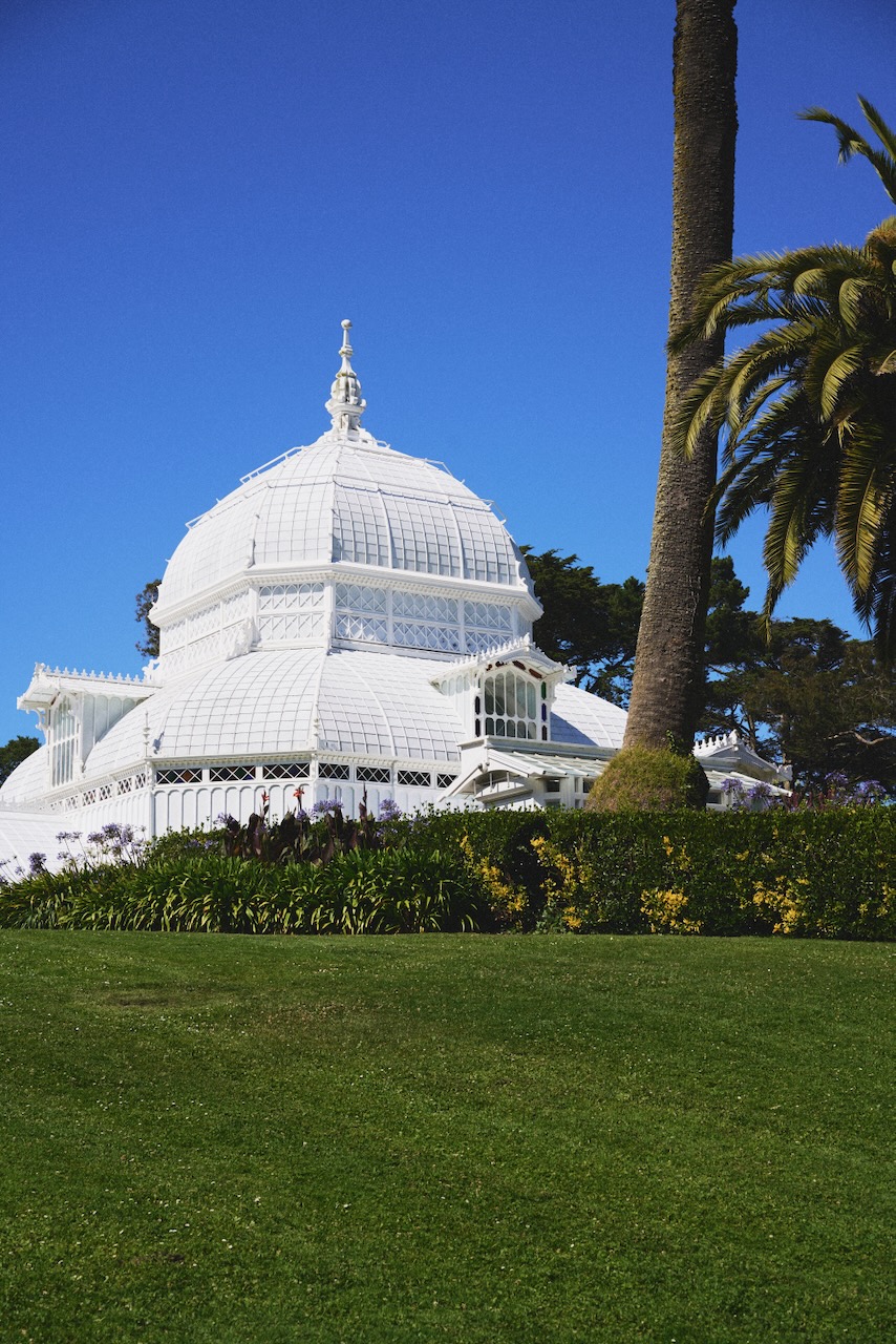 sf_flower8